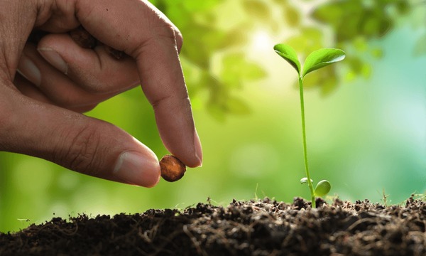 Agricultural Policy