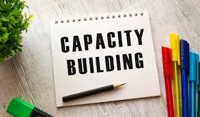 Institutional Capacity