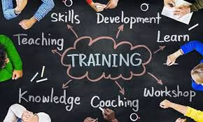 Skills Development