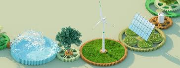 Sustainable Policy